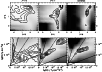 \begin{figure}
\par\includegraphics[angle=-90,width=8.8cm,clip]{ms3027f18.eps}
\end{figure}