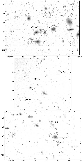 \begin{figure}
\par\includegraphics[width=10.4cm]{aa3054fig1.eps}
\end{figure}