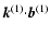 ${\vec k}^{(1)}{\cdot}{\vec b}^{(1)}$