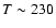 $T\sim 230$