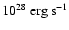 $10^{28}~{\rm erg~s^{-1}}$