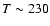 $T\sim 230$