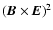 $({\vec B}\times {\vec E})^2$
