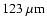 $123~{\rm\mu m}$