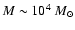 $M \sim 10^4~M_\odot$