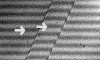 \begin{figure}
\par\resizebox{8.8cm}{!}{\includegraphics{ABE2428f2.eps}}
\par\end{figure}