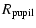 $\displaystyle R_{{\rm pupil}}$