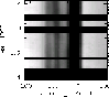 \begin{figure}
\par\includegraphics[angle=0,width=8.8cm,clip]{MS3272f12.eps} \end{figure}