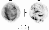 \begin{figure}
\par\includegraphics[width=14.9cm,clip]{H4002F1.eps}
\end{figure}