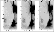 \begin{figure}
\par\includegraphics[width=9.2cm,clip]{h3826_f4.ps}\end{figure}