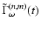 $\tilde\Gamma^{(n,m)}_\omega(t)$