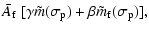 $\displaystyle \bar A_{\rm f}~[\gamma
\tilde m(\sigma_{\rm p}) +\beta\tilde m_{\rm f}(\sigma_{\rm p})],$