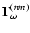 ${\bf\Gamma}^{(nm)}_\omega$