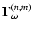 ${\bf\Gamma}^{(n,m)}_\omega$