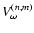 $V_{\omega}^{(n,m)}$