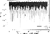 \begin{figure}
\par\includegraphics[width=8.8cm,clip]{3133f5.eps}\par\end{figure}