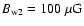 $B_{{\rm w2}} = 100~\mu{\rm G}$