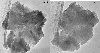 \begin{figure}
\par\includegraphics[width=8.8cm,clip]{1857fig5.eps}\end{figure}