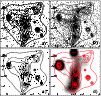 \begin{figure}
\par\includegraphics[width=8.8cm,clip]{ms3179.f10.eps}\end{figure}