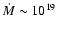 $\dot{M}\sim 10^{19}$