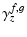 $\displaystyle \gamma^{f,g}_z$