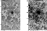 \begin{figure}
\par\includegraphics[width=6cm,clip]{h3850f7.ps}\hspace*{1.8cm}
\includegraphics[width=6cm,clip]{h3850f8.ps}\end{figure}