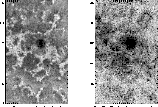 \begin{figure}
\par\includegraphics[width=6cm,clip]{h3850f11.ps}\hspace*{1.8cm}
\includegraphics[width=6cm,clip]{h3850f12.ps}\end{figure}