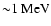 ${\sim} 1 ~ {\rm MeV}$