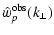 $\displaystyle %
\hat{w}_p^{\rm obs}(k_\perp)$