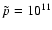 $\tilde{p}=10^{11}$