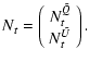 $\displaystyle N_t =
\left(
\begin{array}{c}
N^{\tilde{Q}}_t\\
N^{\tilde{U}}_t
\end{array}\right).$
