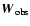 $\vec{W}_{\rm obs}$