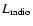 $L_{\rm radio}$