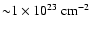 ${\sim}1\times 10^{23}~ \mbox{cm}^{-2}$