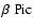 $\beta ~ {\rm Pic}$