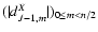 $(\vert d_{J-1,m}^X\vert)_{0\le m< n/2}$