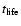 $t_{\rm life}$