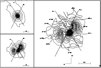 \begin{figure}
\par\includegraphics[width=17.3cm,clip]{cmv_h10c.eps}
\end{figure}