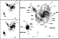 \begin{figure}
\par\includegraphics[width=17.2cm,clip]{cmv_h96a.eps}
\end{figure}