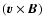 $(\vec{v}\times\vec{B})$
