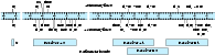 \begin{figure}
\par\includegraphics[width=17cm,clip]{nordh_fig3.eps}
\end{figure}