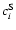 $c_i^{\rm
S}$