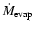 $\dot M_{\rm{evap}}$