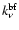 $k^{\rm bf}_{\nu}$