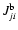 $J_{ji}^{\rm b}$
