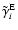 $\tilde{\gamma}^{\rm E}_{i}$