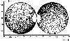 \begin{figure}
\par\includegraphics[width=8.8cm,clip]{m2333f4.eps}
\end{figure}