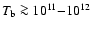 $T_{\rm b} \ga 10^{11}{-}10^{12}$