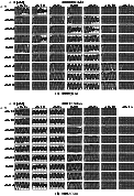 \begin{figure}
\par\subfigure[2000QC$_{243}$ ]{\includegraphics[width=10.7cm,hei...
...55}$ ]{\includegraphics[width=10.7cm,height=7.13cm]{H4130F4b.eps} }
\end{figure}