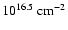 $10^{16.5}~\rm cm^{-2}$